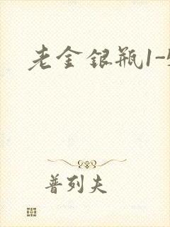 老金银瓶1-5