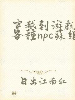 穿越到游戏里和各种npc苏绾