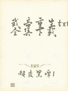 武帝重生txt全集下载