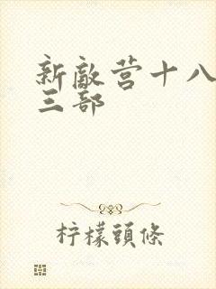 新敌营十八年第三部