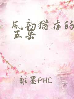 风韵犹存的四十五岳