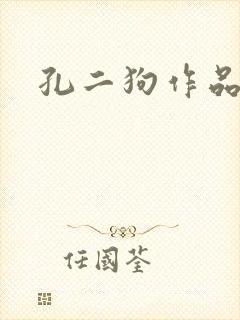 孔二狗作品