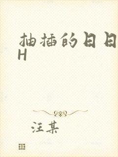 抽插的日日液液H