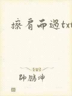 擦肩而过txt