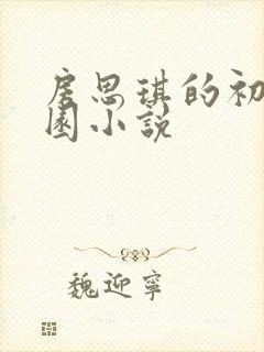 房思琪的初恋乐园小说