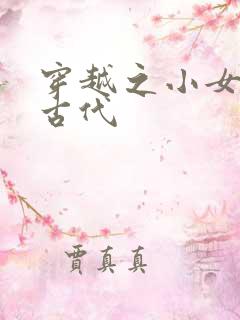 穿越之小女子闹古代