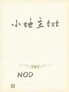 小地主txt