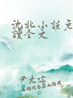 沈北小说免费阅读全文