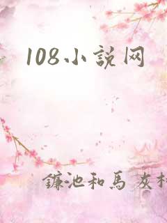 108小说网