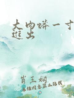 大肉蟒一寸一寸进出