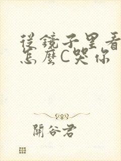 从镜子里看我是怎么C哭你