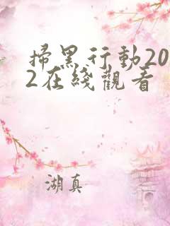 扫黑行动2022在线观看