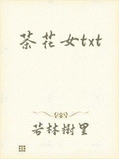 茶花女txt