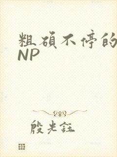 粗硕不停的进出NP