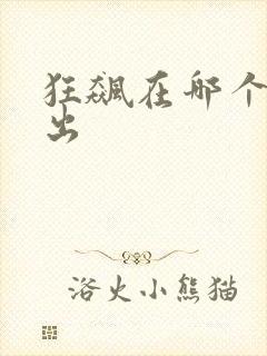 狂飙在哪个台播出