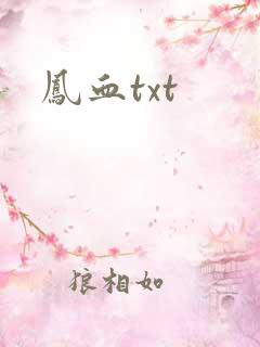 凤血txt