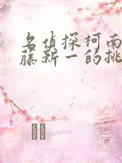 名侦探柯南给工藤新一的挑战书