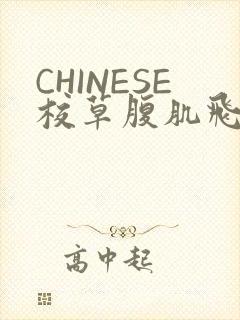 CHINESE校草腹肌飞机视频