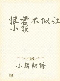 恨君不似江楼月小说