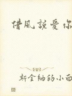 借风说爱你