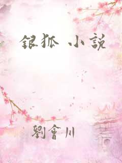 银狐 小说