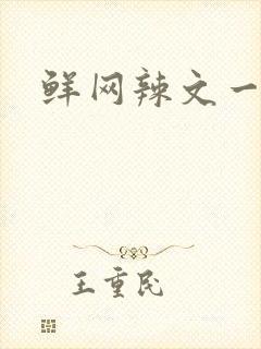 鲜网辣文一对一