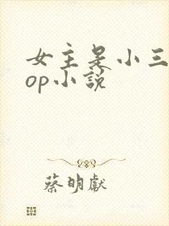 女主是小三的pop小说