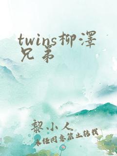 twins柳泽兄弟