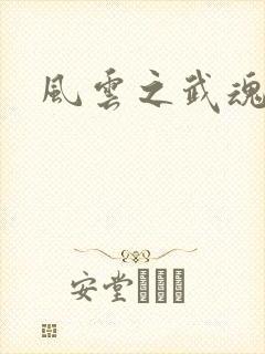 风云之武魂