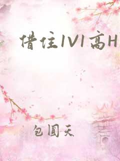 借住1V1高H