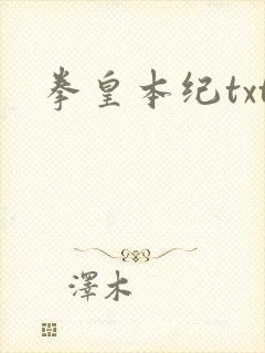 拳皇本纪txt