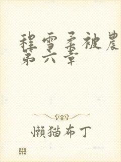 程雪柔被农民工第六章