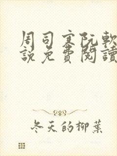 周司寒阮软的小说免费阅读