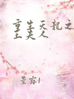 重生天龙之推倒王夫人