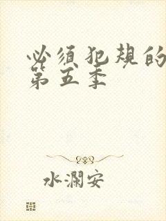 必须犯规的游戏第五季