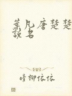 叶凡唐楚楚的小说名