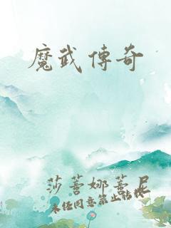 魔武传奇