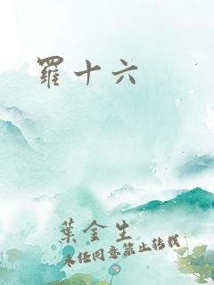 罗十六