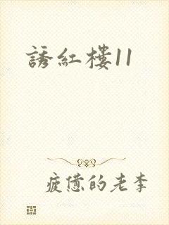 诱红楼11