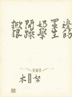 掀开奶罩边躁狠狠躁学生的小文字