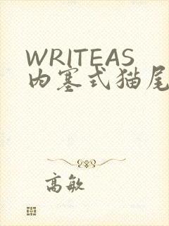 WRITEAS内塞式猫尾