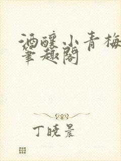 酒酿小青梅po笔趣阁
