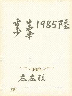重生1985陆少华