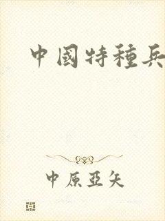 中国特种兵小说