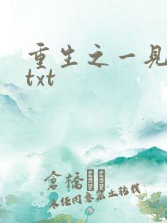重生之一见倾心txt