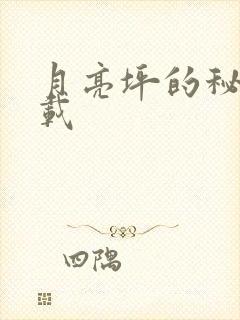 月亮坪的秘密下载