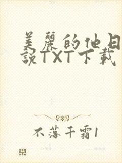 美丽的他日剧小说TXT下载