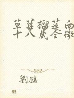 草莓榴莲向日葵十八岁全微糖