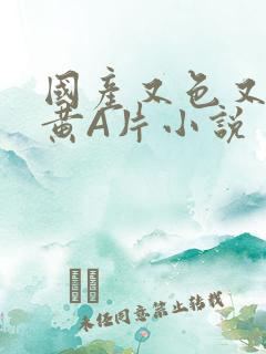 国产又色又爽又黄A片小说