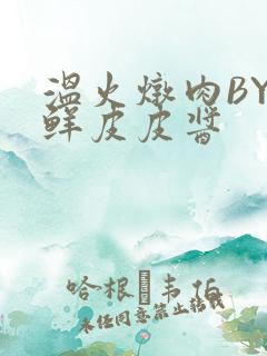 温火炖肉BY海鲜皮皮酱